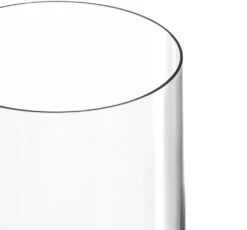 Leonardo Sektglas DAILY 200 Ml, 6er-Set -Leonardo Shop 210 063314 3 K