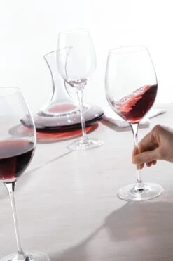 Leonardo Shop -Leonardo Shop 210 CHEERS Dekanter 027810 Rotweinglass 061633 V01 H 1