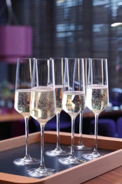 Leonardo Sektglas PUCCINI 280 Ml, 6er-Set 7 Leonardo Sektglas PUCCINI 280 Ml, 6er-Set -Leonardo Shop 210 PUCCNI Sektglas 069550 Proline H