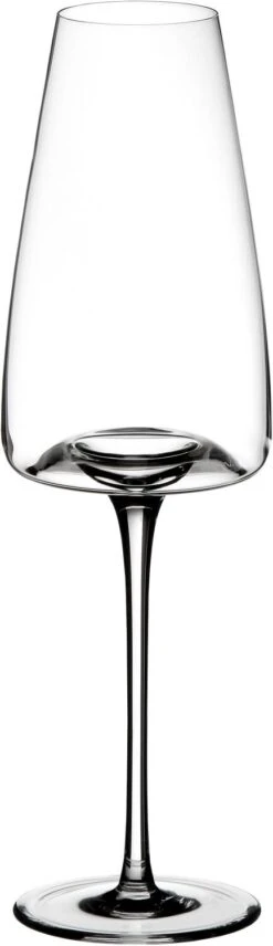 Zieher Weingläser Rich Vision, 2er-Set