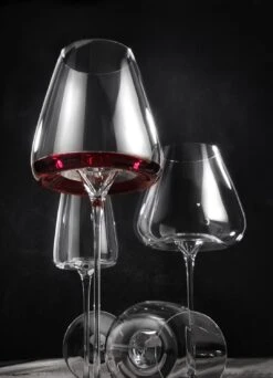 Zieher Weingläser Intense Vision, 2er-Set 22 Zieher Weingläser Intense Vision, 2er-Set -Leonardo Shop SF VISION 5480 04