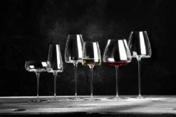 Zieher Weingläser Balanced Vision, 2er-Set 19 Zieher Weingläser Balanced Vision, 2er-Set -Leonardo Shop SF VISION 5480 09 1