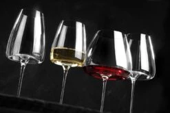 Zieher Weingläser Nostalgic Vision, 2er-Set -Leonardo Shop SF VISION 5480 10 5