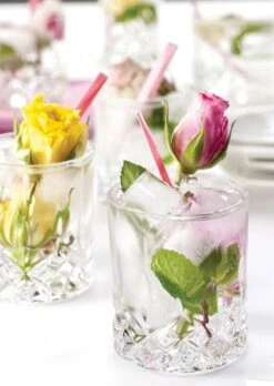 RCR Cocktailglas Opera, 6er-Set 7 RCR Cocktailglas Opera, 6er-Set -Leonardo Shop opera2i l